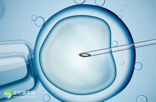 靠谱代怀包成功